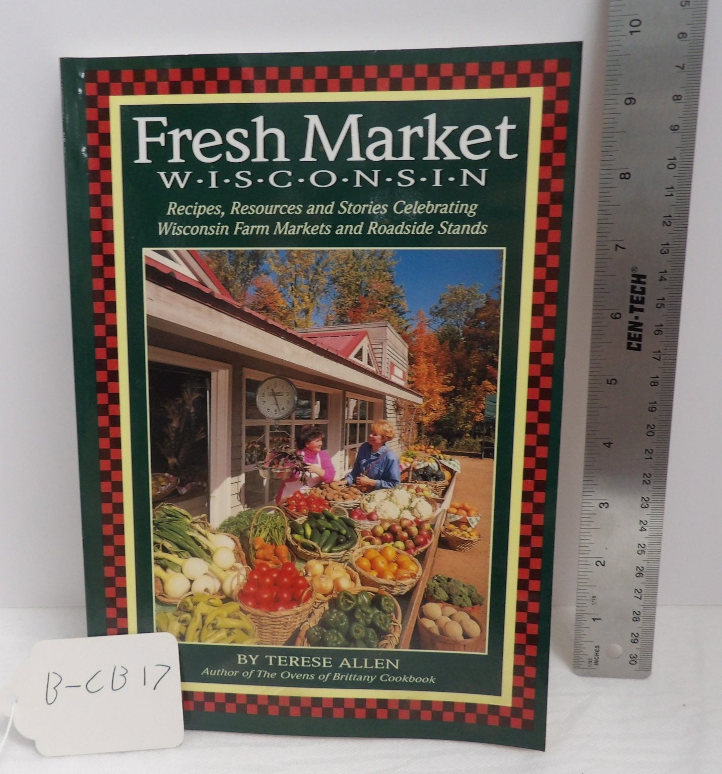 Fresh Market Wisconsin Cookbook Terese Allen 1995 Regional Recipes Amherst Press